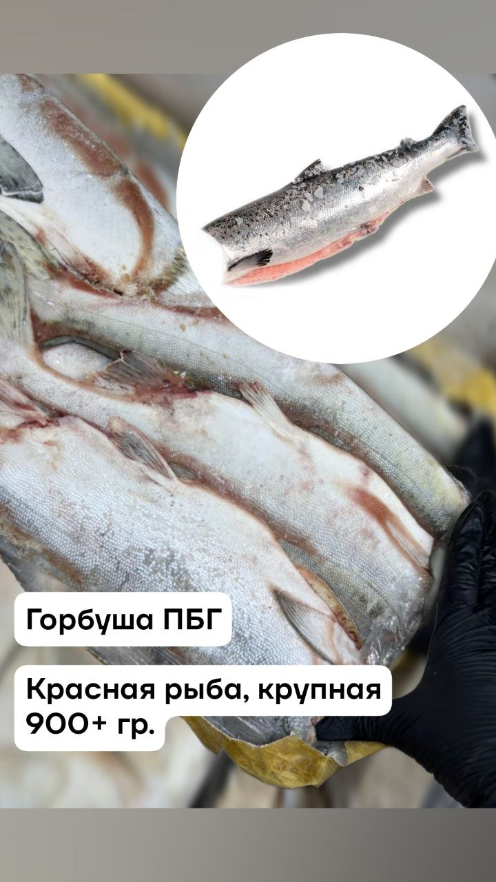 Горбуша ПБГ